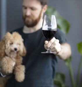 Vinomofo