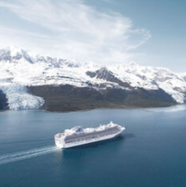 Travellerschoice