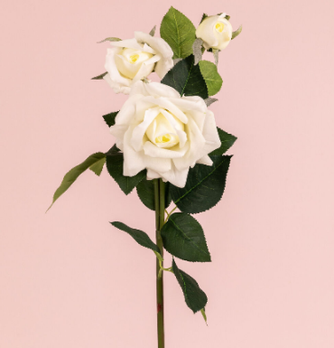 Silkflora