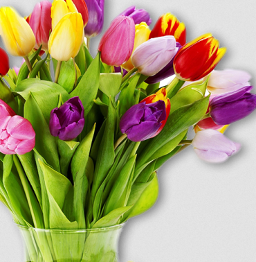 Scentofaflower